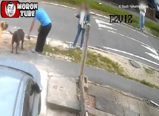 Video :A dangerous dog owner's pet eats him
